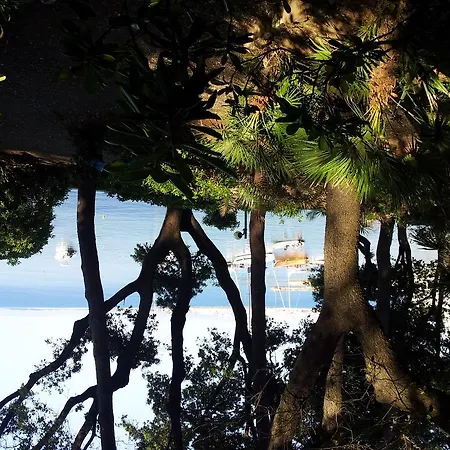 Miramare Castiglioncello